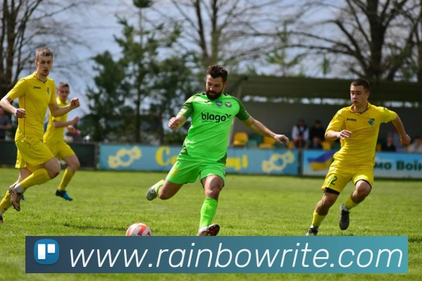 好博体育平台生态图